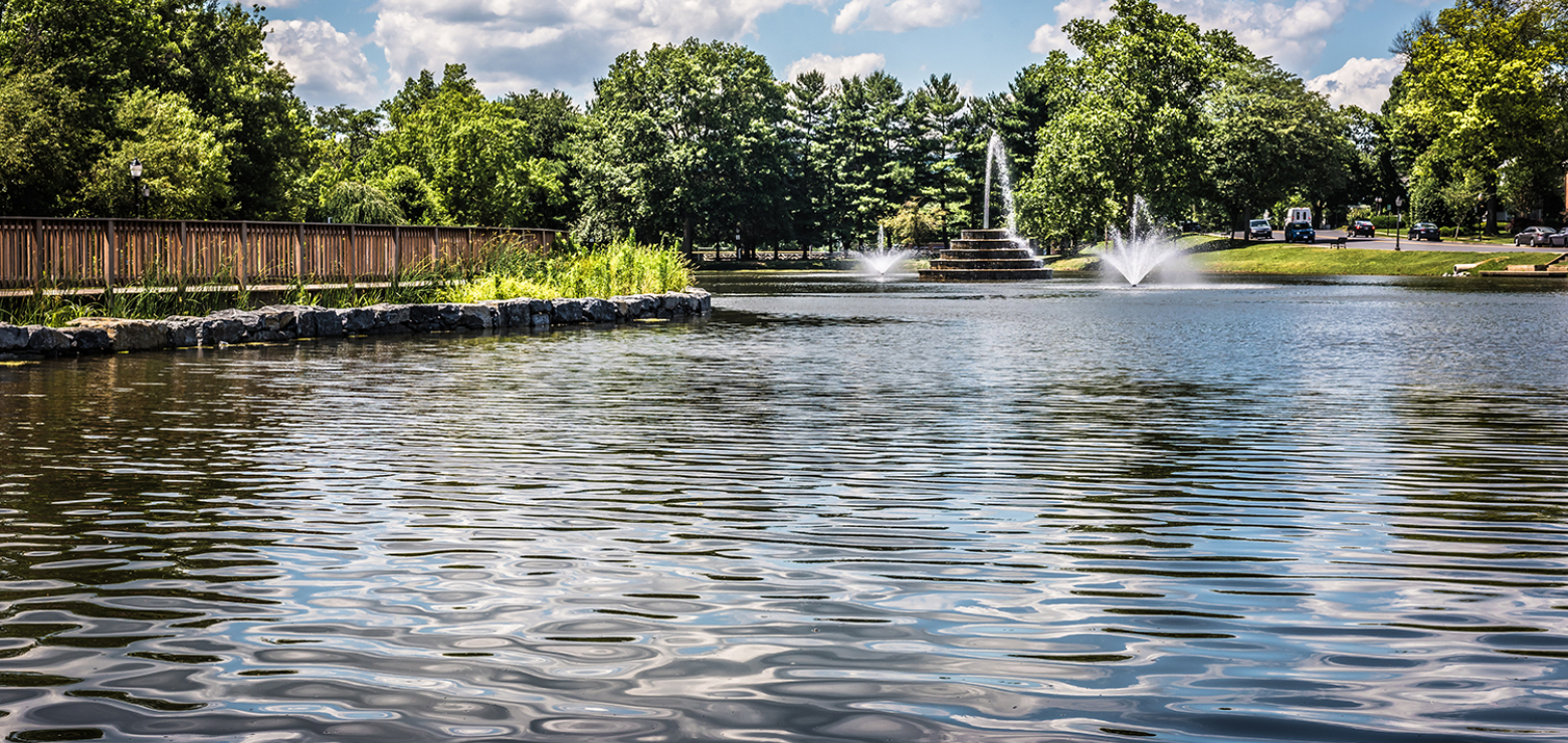 Culler Lake Desiltation & Park Improvement Project