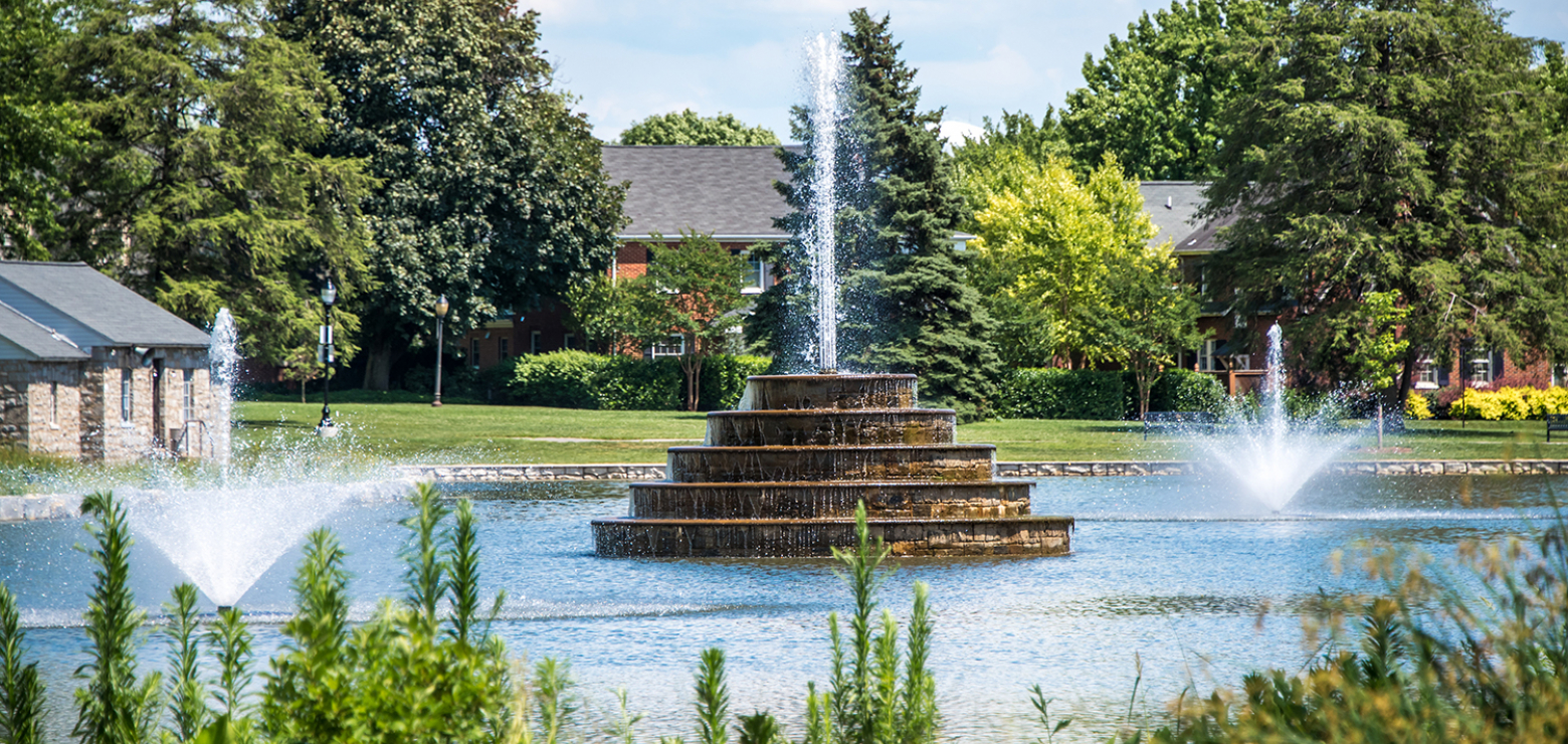 Culler Lake Desiltation & Park Improvement Project