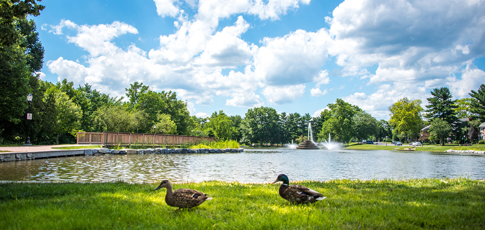 Culler Lake Desiltation & Park Improvement Project