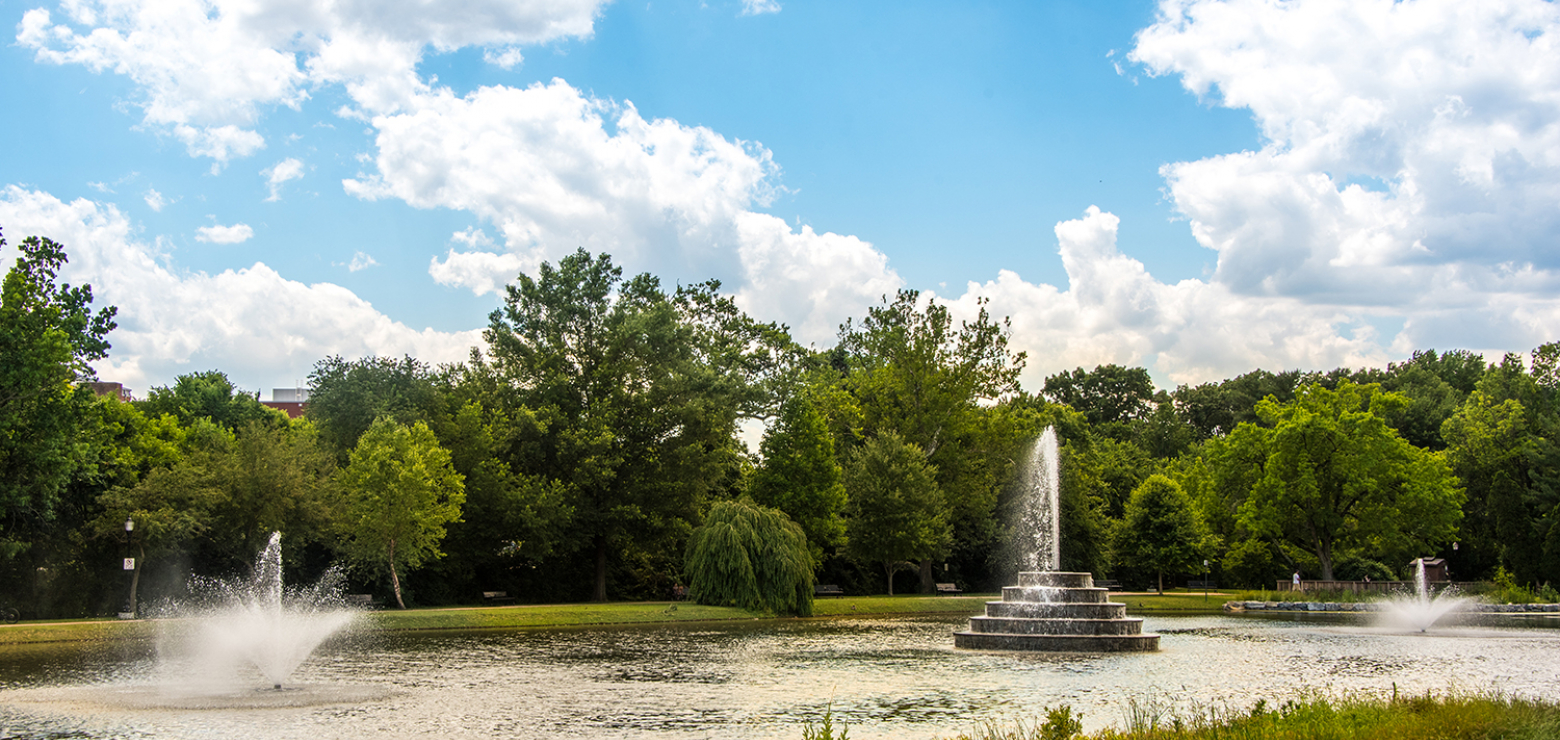 Culler Lake Desiltation & Park Improvement Project