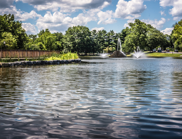 Culler Lake Desiltation & Park Improvement Project